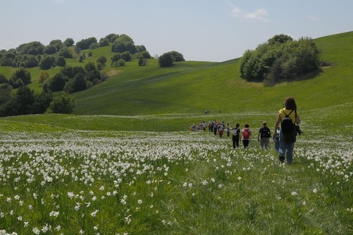 Loano, giovedì 23 escursione al Passo del Prione Loano, giovedì 23 escursione al Passo del Prione
