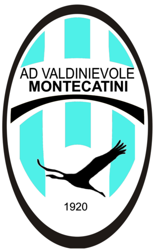 Calcio, Serie D: Lazzerini si è dimesso, scossone per il Valdinievole Montecatini Calcio, Serie D: Lazzerini si è dimesso, scossone per il Valdinievole Montecatini