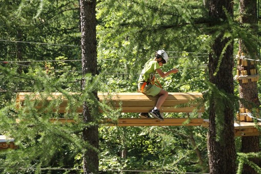 Parchi avventura: i percorsi tra gli alberi sempre più di tendenza tra gli sportivi