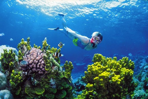 Albisola Superiore, il 23 agosto "Snorkeling…alla scoperta della vita sott’acqua" Albisola Superiore, il 23 agosto "Snorkeling…alla scoperta della vita sott’acqua"