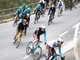 Ciclismo, Trofeo Laigueglia. Ad Alassio il team Androni Giocattoli Sidermec campione d'Italia da tre stagioni