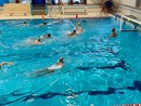 Pallanuoto. Esordio vincente per il Doria Nuoto Loano nel campionato Under 14: successo 19-3 contro il Camogli B Pallanuoto. Esordio vincente per il Doria Nuoto Loano nel campionato Under 14: successo 19-3 contro il Camogli B