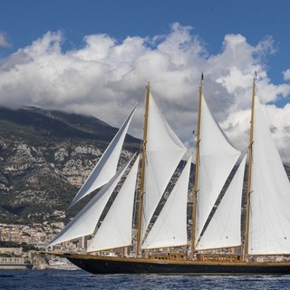 foto Carlo Borlenghi