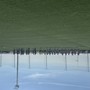 Calcio, Eccellenza. La Carcarese fa visita all'Arenzano: la WEBCRONACA LIVE dal "Gambino" Calcio, Eccellenza. La Carcarese fa visita all'Arenzano: la WEBCRONACA LIVE dal "Gambino"