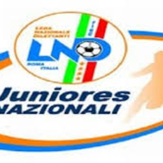 Calcio, Juniores Nazionali: la ripartenza del campionato slitta ancora, fissata la data del 20 marzo Calcio, Juniores Nazionali: la ripartenza del campionato slitta ancora, fissata la data del 20 marzo