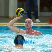 Pallanuoto, la R.N. Savona si ferma con il Ferencvaros. Guidi: "Partita tosta, loro una squadra fortissima" Pallanuoto, la R.N. Savona si ferma con il Ferencvaros. Guidi: "Partita tosta, loro una squadra fortissima"