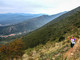 Grandi riscontri per la prima edizione del Pizzo Vertical Race Grandi riscontri per la prima edizione del Pizzo Vertical Race