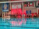 Pallanuoto. Champions League. EuroRari, che beffa! L'ennesima impresa sfuma nel finale, l'Olympiacos vince ai rigori Pallanuoto. Champions League. EuroRari, che beffa! L'ennesima impresa sfuma nel finale, l'Olympiacos vince ai rigori