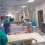 Sanità ligure, al via il concorso per trovare 16 anestesisti: tre posti destinati all'ASL2 Sanità ligure, al via il concorso per trovare 16 anestesisti: tre posti destinati all'ASL2