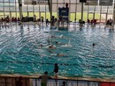 Pallanuoto. Rari Nantes Savona travolgente all’esordio: Florentia battuta 22-4