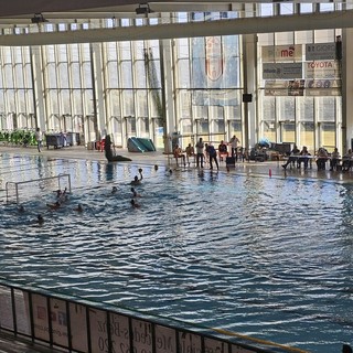 Rari Nantes Savona, esordio vincente in campionato: Posillipo battuto 18-13 Rari Nantes Savona, esordio vincente in campionato: Posillipo battuto 18-13