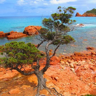 Spiagge bellissime poco conosciute della Sardegna