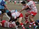 Rugby. Savona batte Pro Recco 27 a 5: il racconto e il tabellino del match