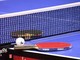 Il tennistavolo arriva a Varazze per il Primo Open Pef Power Il tennistavolo arriva a Varazze per il Primo Open Pef Power