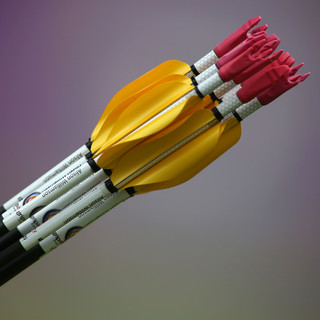 Tiro con l'Arco: straordinaria Chiara Rebagliati, a Baitè è record italiano