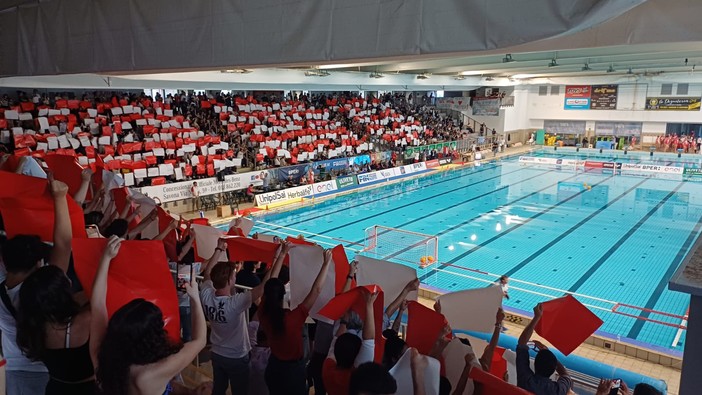 Pallanuoto, strapotere Pro Recco: domina a Savona e vince lo scudetto, niente da fare per la Rari Pallanuoto, strapotere Pro Recco: domina a Savona e vince lo scudetto, niente da fare per la Rari