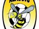 Calcio, Alassio FC: attività sospesa per comparto maschile e femminile