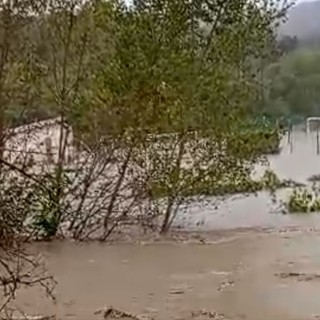 Maltempo. Esondato il Bormida, il "Ponzo" di Bragno totalmente allagato (VIDEO)