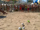 Doppio torneo di beach bocce ad Alassio, in attesa del Mondiale Giovanile di volo