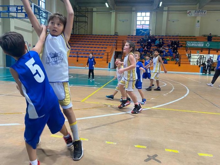 Basket: ad Andora il Minibasket Challenge con i padroni di casa e la Pallacanestro Alassio Basket: ad Andora il Minibasket Challenge con i padroni di casa e la Pallacanestro Alassio