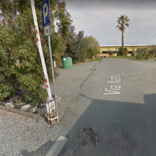 Celle, nuovo campo da calcio alla Natta. "No al taglio delle querce da sughero". Sindaco: "Non si toccano"