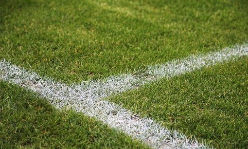 Calcio. La Uefa vuole far chiarezza sull'uso dei prodotti chimici sui campi da gioco, coinvolti anche i dilettanti