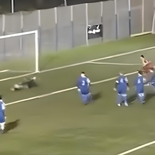Calcio. Pontelungo - San Cipriano è il festival del gol. Tutte le reti del 3-3 all'Annibale Riva (VIDEO) Calcio. Pontelungo - San Cipriano è il festival del gol. Tutte le reti del 3-3 all'Annibale Riva (VIDEO)