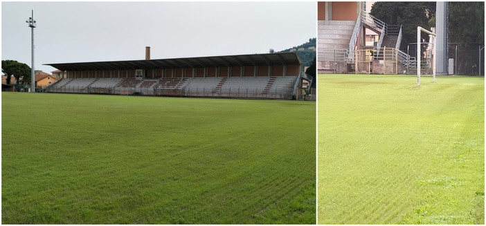 Stadio 'Nino Ciccione' di Imperia, l’erba inizia a germogliare (foto) Stadio 'Nino Ciccione' di Imperia, l’erba inizia a germogliare (foto)