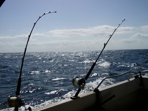 immagine di repertorio immagine di repertorio