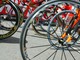 Ciclismo: scatta domenica la Granfondo Milano - Sanremo