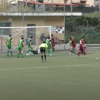 la sintesi di Franco Rebaudo la sintesi di Franco Rebaudo