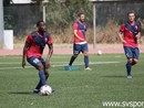 Calcio, Vado. Atteso oggi l'annuncio di Roselli, via libera anche alla conferma di Abonckelet Calcio, Vado. Atteso oggi l'annuncio di Roselli, via libera anche alla conferma di Abonckelet