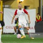 Calcio | Vado. Piana si tiene stretto il punto con la Pianese: "Potevamo avere più pazienza, ma è stata una buona gara" Calcio | Vado. Piana si tiene stretto il punto con la Pianese: "Potevamo avere più pazienza, ma è stata una buona gara"