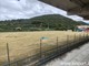Calcio | Borgio Verezzi, in attesa del rilancio lo stadio diventa un parcheggio Calcio | Borgio Verezzi, in attesa del rilancio lo stadio diventa un parcheggio