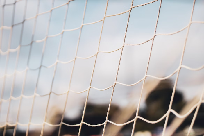 Italia di Serie D: che cosa si vince