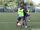 Calcio, Serie D. Vado e Celle Varazze alzano i giri, Vogherese e Pistoiese le avversarie del week end Calcio, Serie D. Vado e Celle Varazze alzano i giri, Vogherese e Pistoiese le avversarie del week end