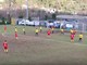 Calcio, Eccellenza: dalle parate di Moraglio all'espulsione di Piana, ecco gli highlights di Albenga - Cairese (VIDEO)