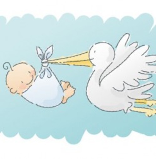 Calcio, Plodio. Arriva la cicogna per Luca Lussi, le felicitazioni del club