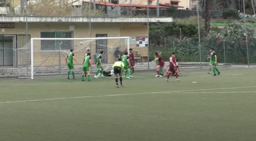 la sintesi di Franco Rebaudo la sintesi di Franco Rebaudo