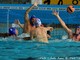 Pallanuoto, Carisa: foto e parole della finale persa (14-8) ieri contro Posillipo Pallanuoto, Carisa: foto e parole della finale persa (14-8) ieri contro Posillipo