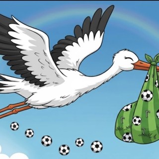 Calcio. La cicogna bussa alla Baia Alassio Auxilium: è nata Anna, figlia del vice allenatore Michele Ciravegna