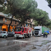 Investimento mortale in Corso Tardy & Benech: l'autista del camion patteggia un anno e mezzo Investimento mortale in Corso Tardy & Benech: l'autista del camion patteggia un anno e mezzo