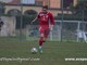 Calciomercato: operazione lampo per l'Alassio FC, accordo trovato con Samuele Sassari