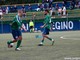 Calcio, Promozione. Legino sul podio nella "Valorizzazione Giovani", buoni piazzamenti per le savonesi Calcio, Promozione. Legino sul podio nella "Valorizzazione Giovani", buoni piazzamenti per le savonesi
