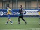 Calcio, Eccellenza. Alle 16:00 c'è Cairese - Pietra Ligure, in serata la Genova Calcio cerca contro il Varazze il ritorno in vetta