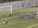 Calcio. Pontelungo - San Cipriano è il festival del gol. Tutte le reti del 3-3 all'Annibale Riva (VIDEO)