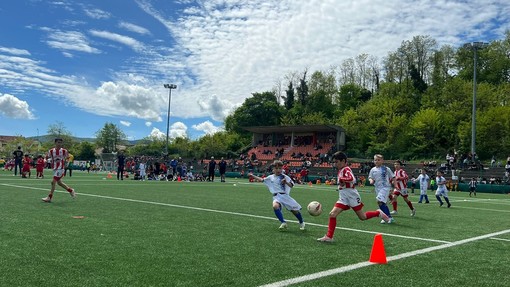 Il calcio giovanile accende la Val Bormida, oltre 500 bimbi a Carcare per il Memorial Piacenza