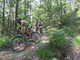 Mountain Bike: a Cengio si va alla scoperta dei boschi del Baraccone