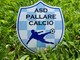 Il nuovo logo del Pallare Calcio Il nuovo logo del Pallare Calcio