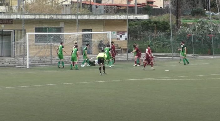 la sintesi di Franco Rebaudo la sintesi di Franco Rebaudo